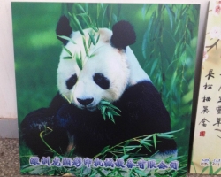 18新利客服如此火爆的原因