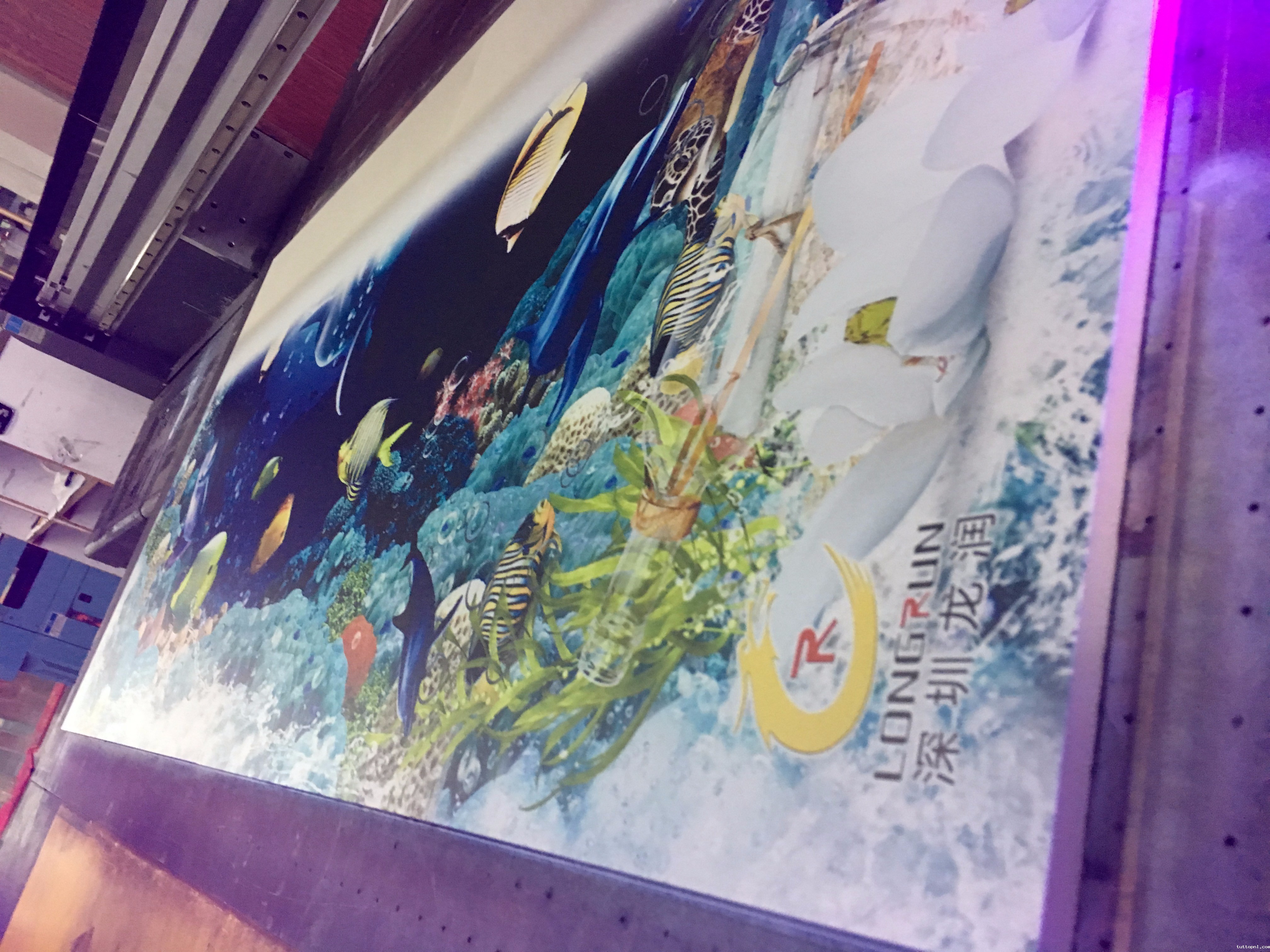 18新利客服|UV平板打印机|万能打印机|平板打印机|UV机|18新利吧|8d|彩印机|平板打印机价格|万能打印机价格|万能彩印机|UV平板机|uv打印机价格|uv打印机多少钱|uv打印机多少钱一台